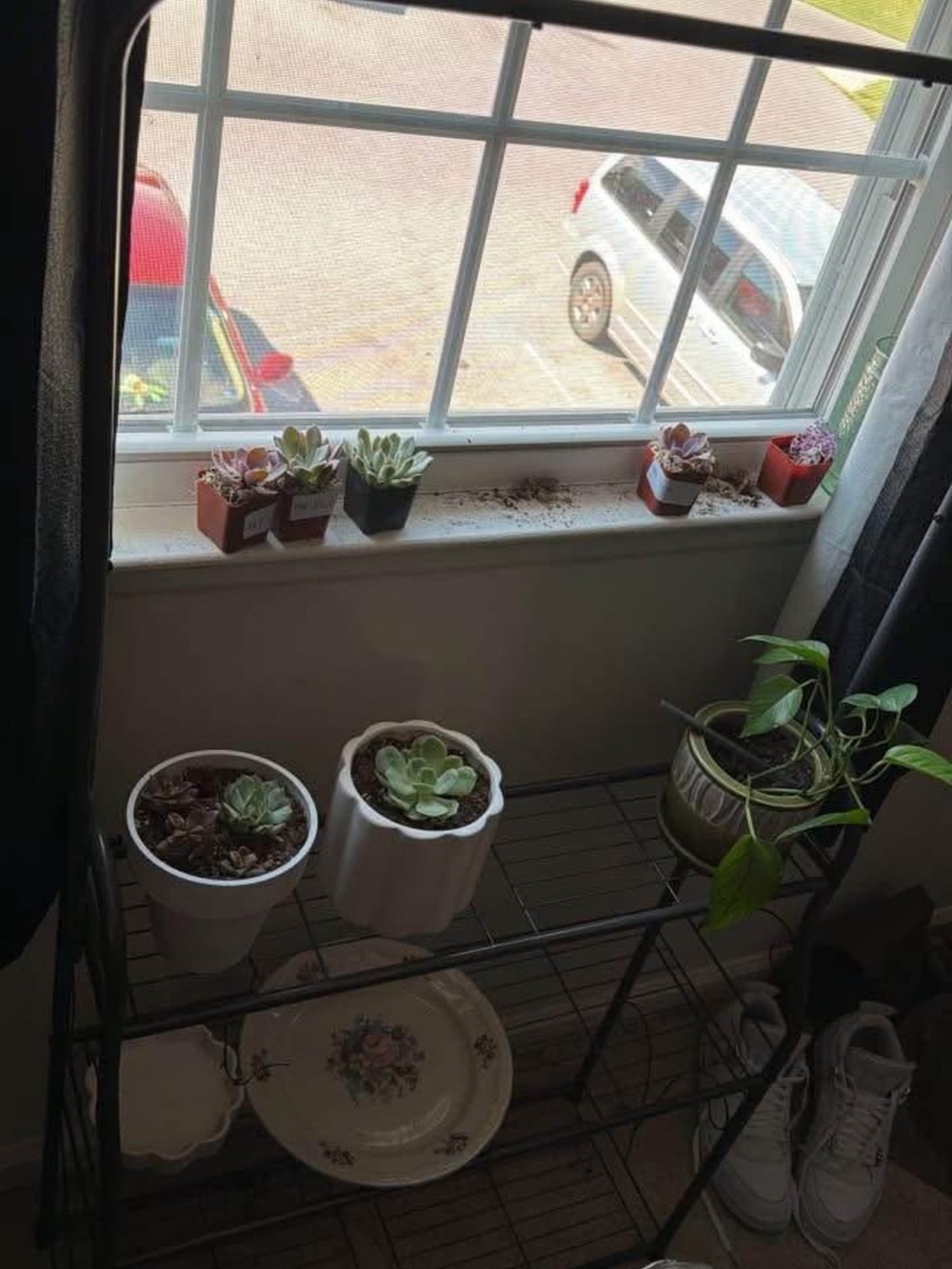 Black Metal Plant Stand
